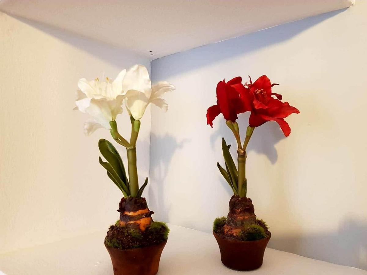 Apartamento Cortadura Beach Cadiz Bagian luar foto